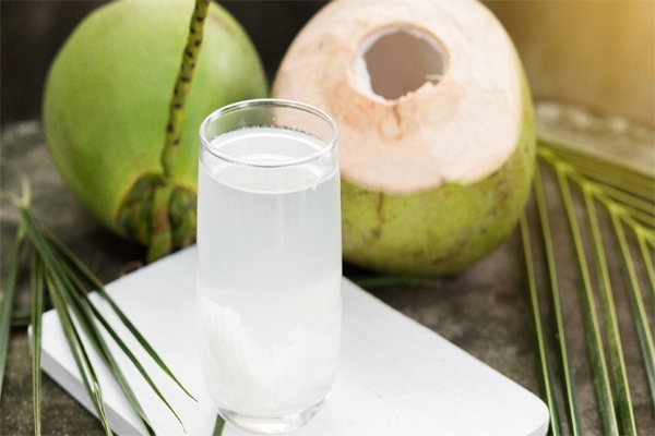Types of coconuts in Vietnam: Features, bbenefits and prices
