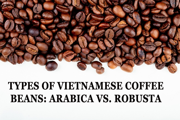 TYPES OF VIETNAMESE COFFEE BEANS: ARABICA VS. ROBUSTA